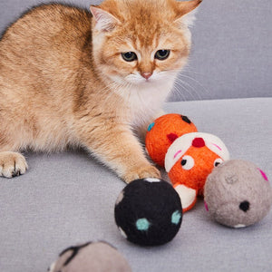 Pet Toys - Shopies Deals